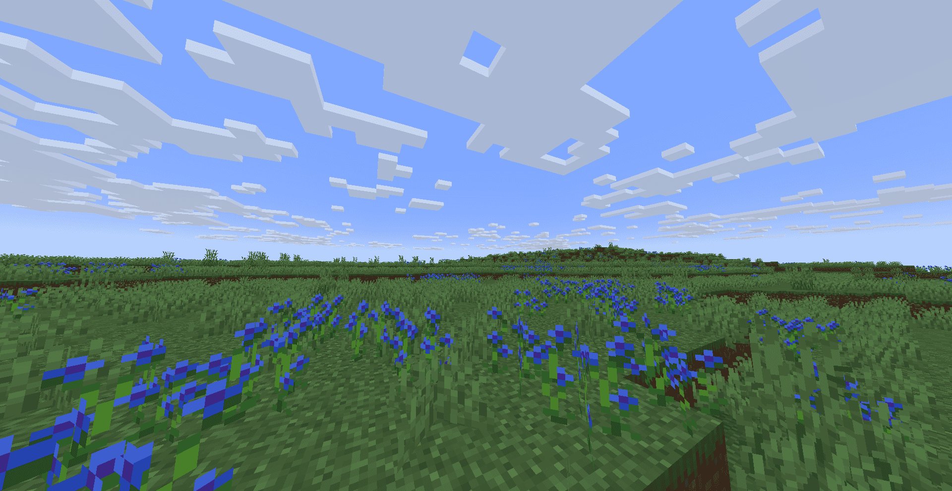 Wild Flowers screenshot