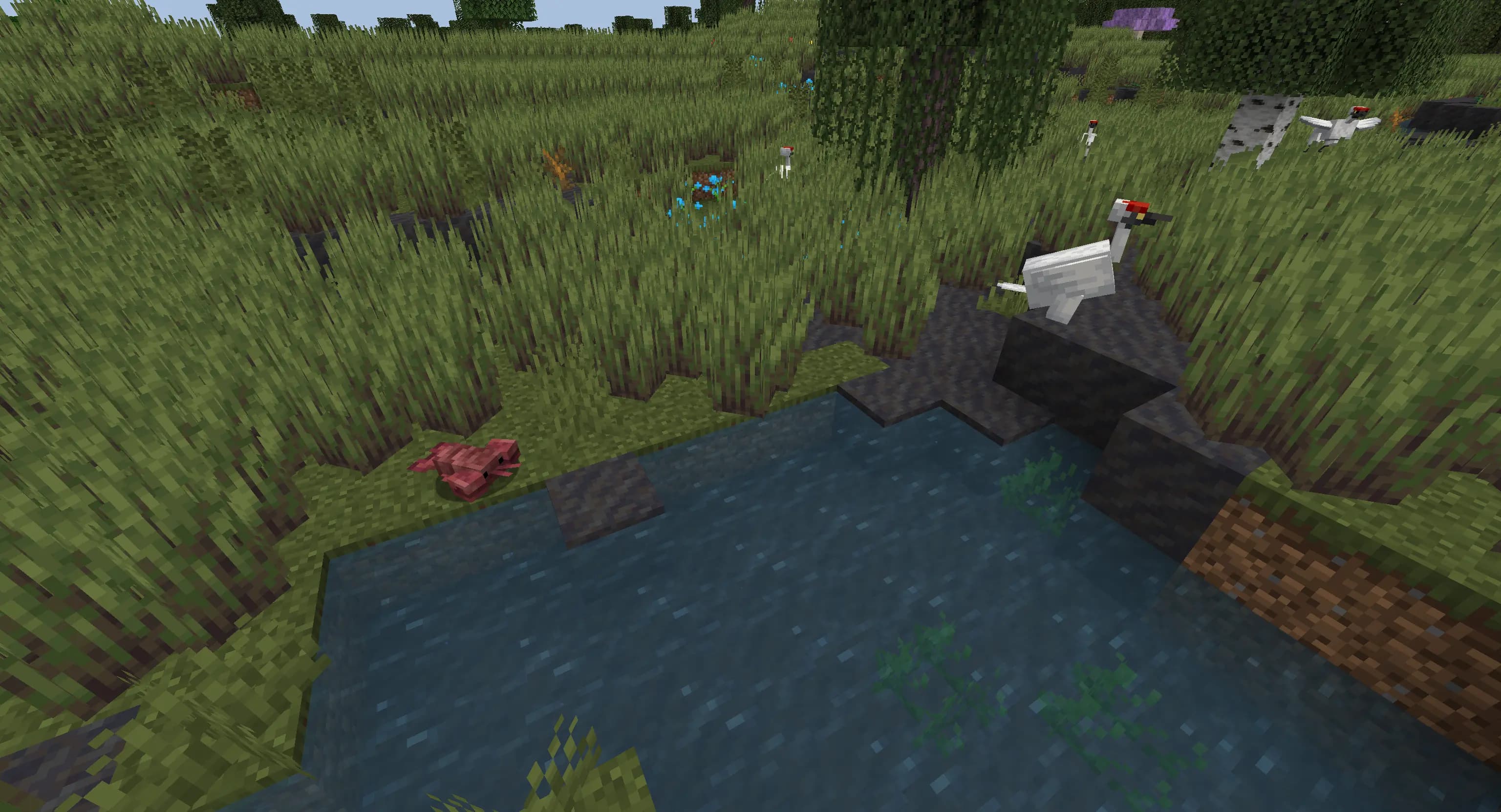 Wetland Whimsy screenshot