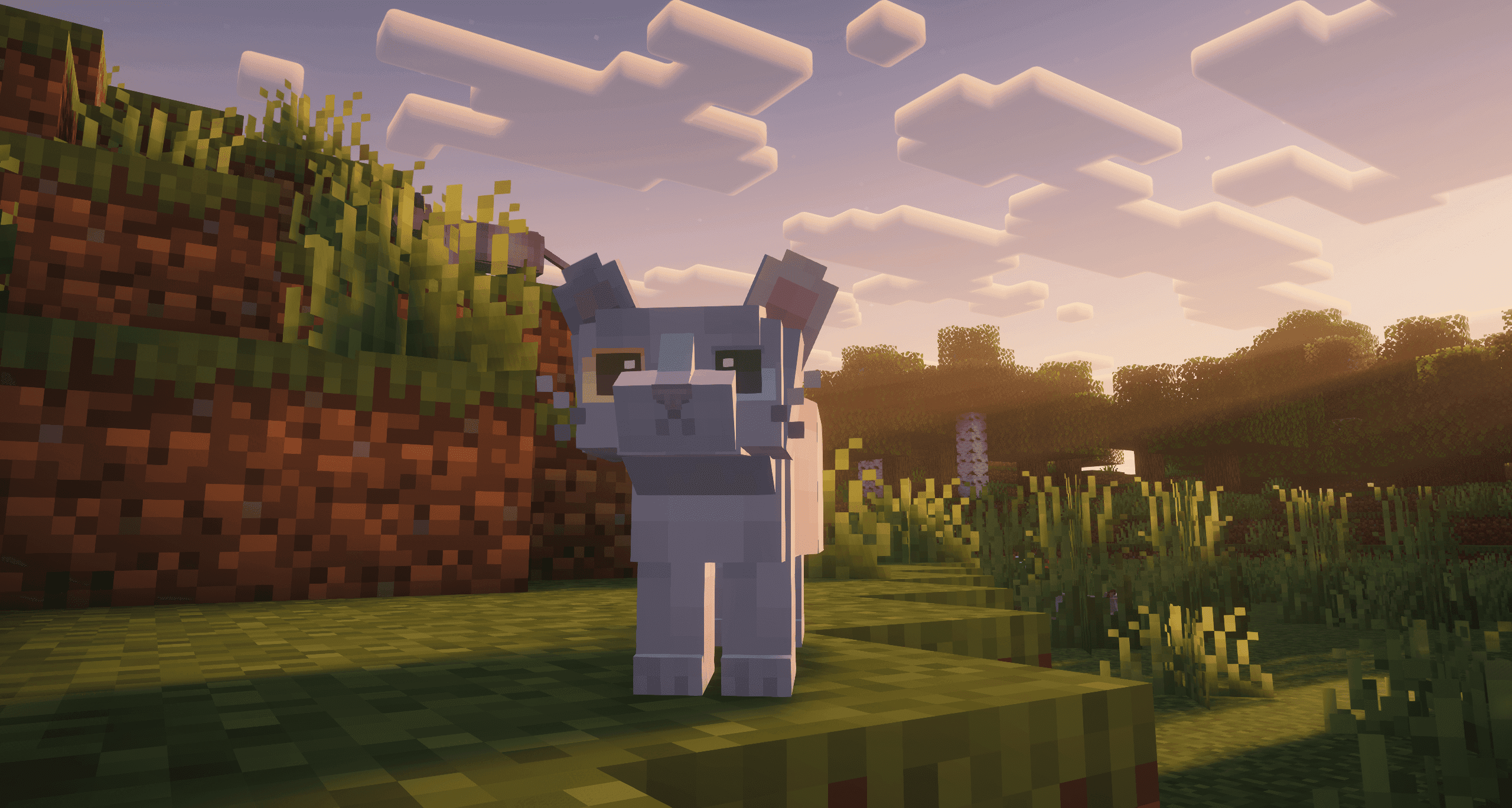 Refined Cats screenshot