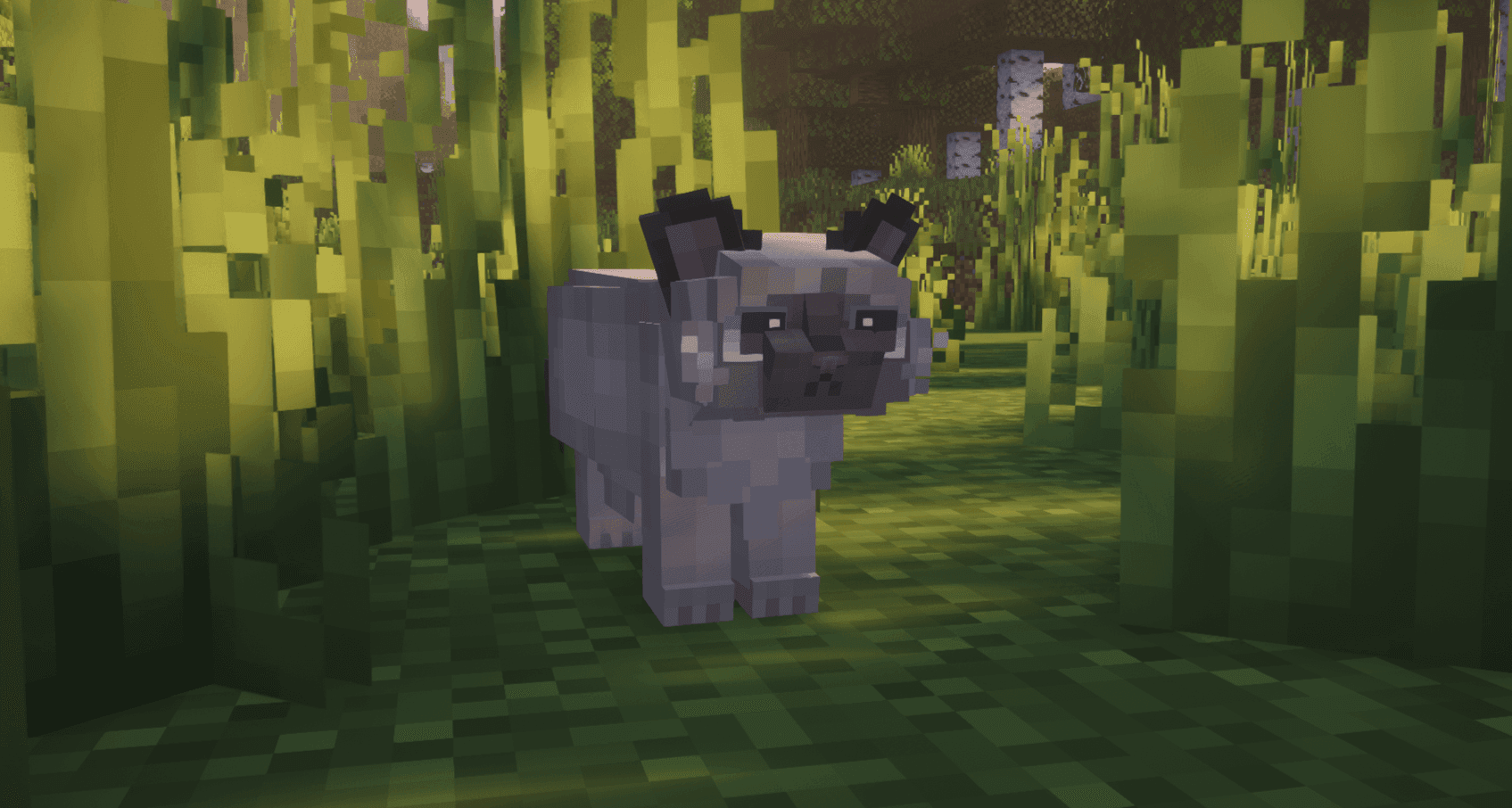 Refined Cats screenshot