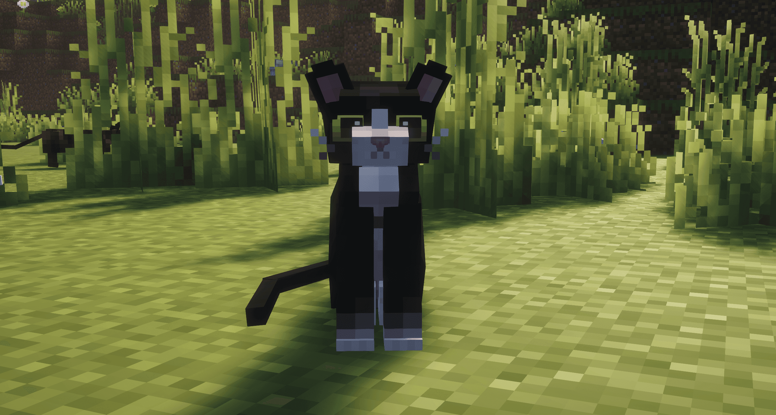 Refined Cats screenshot