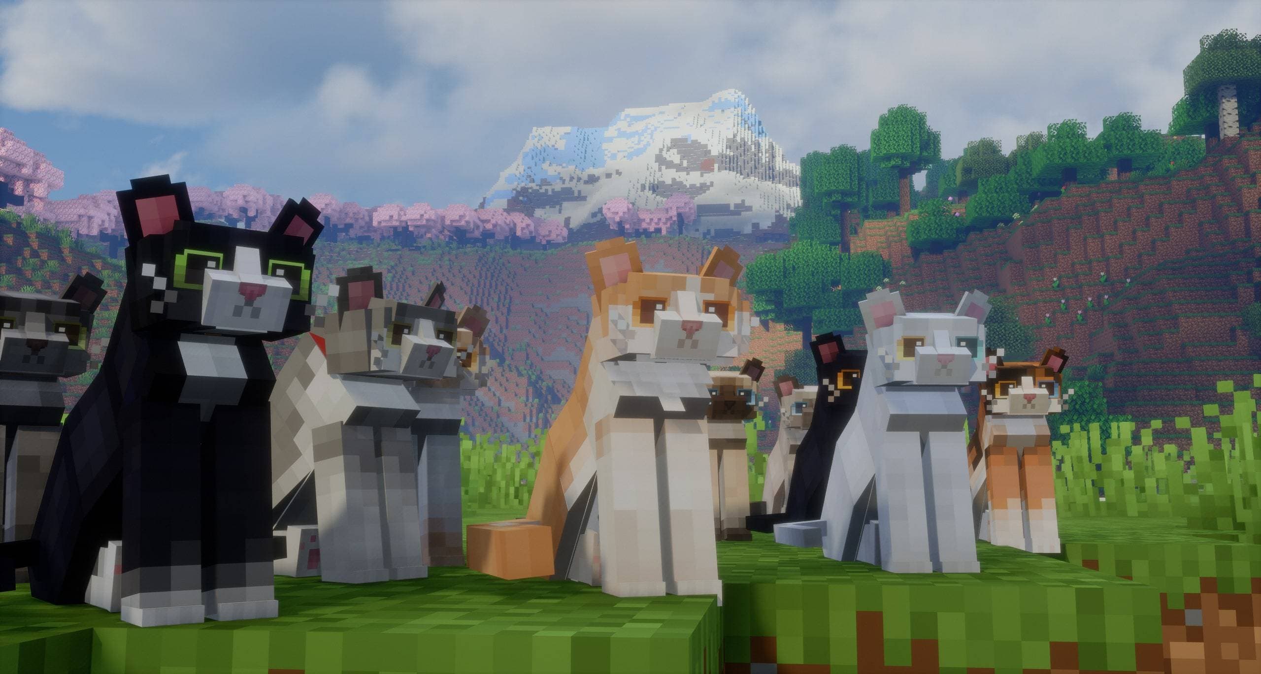Refined Cats screenshot