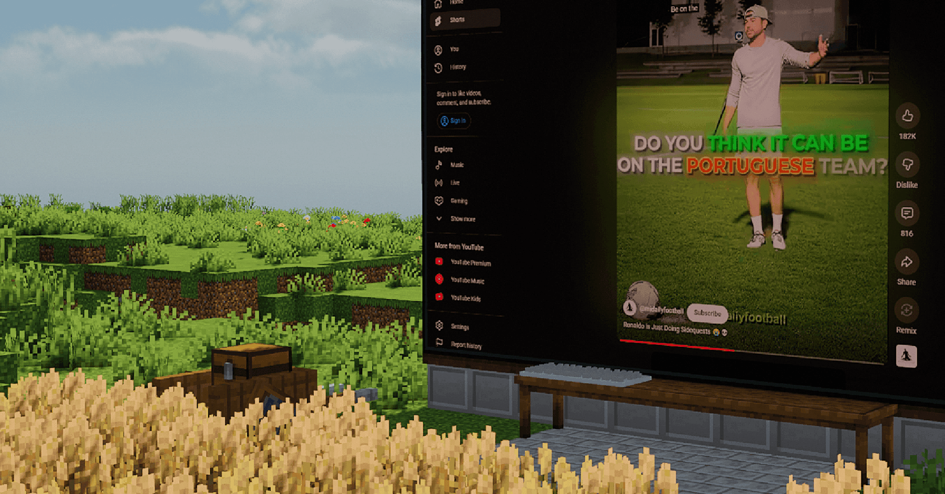 WebDisplays Plus screenshot