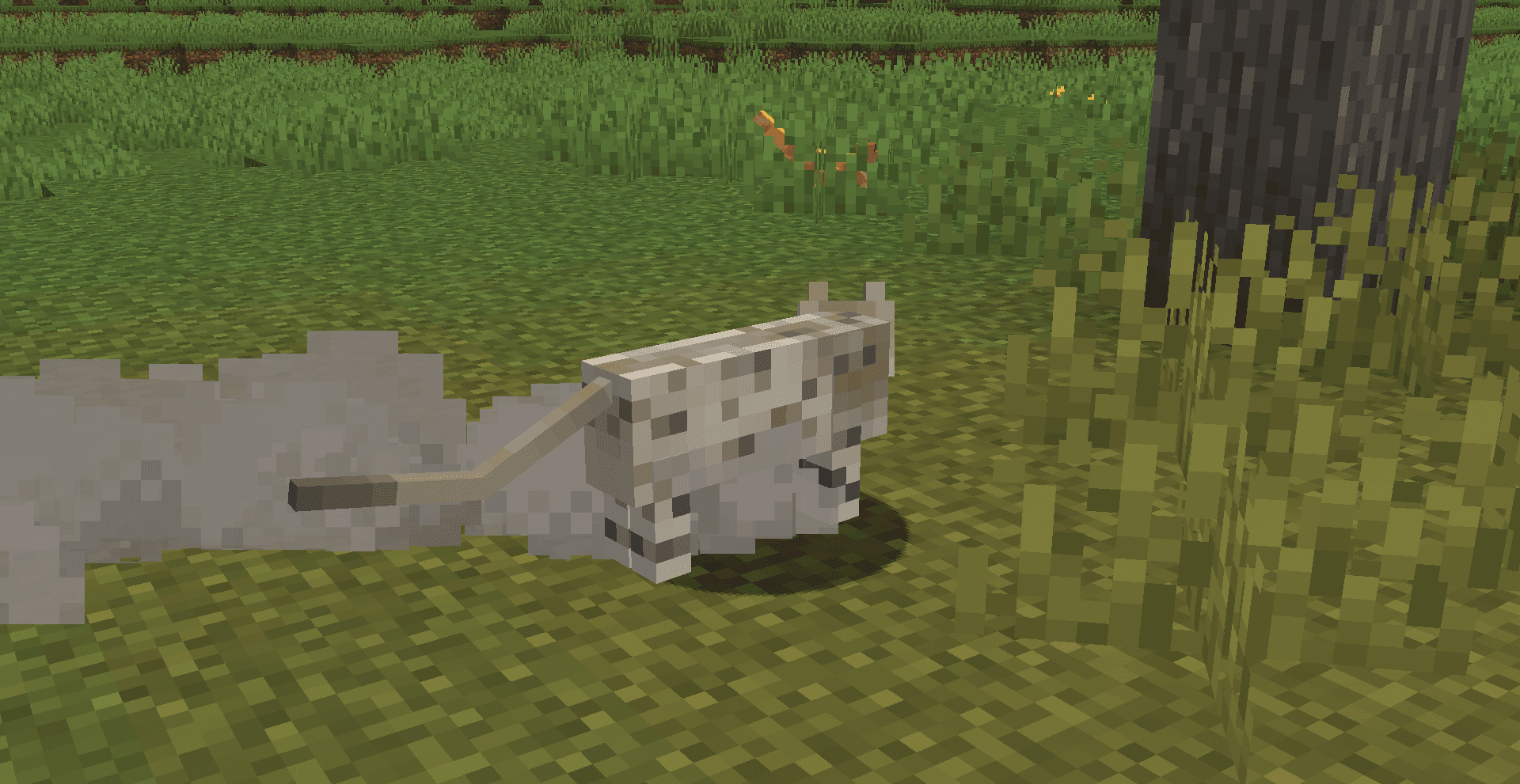 Warrior Cats Events screenshot