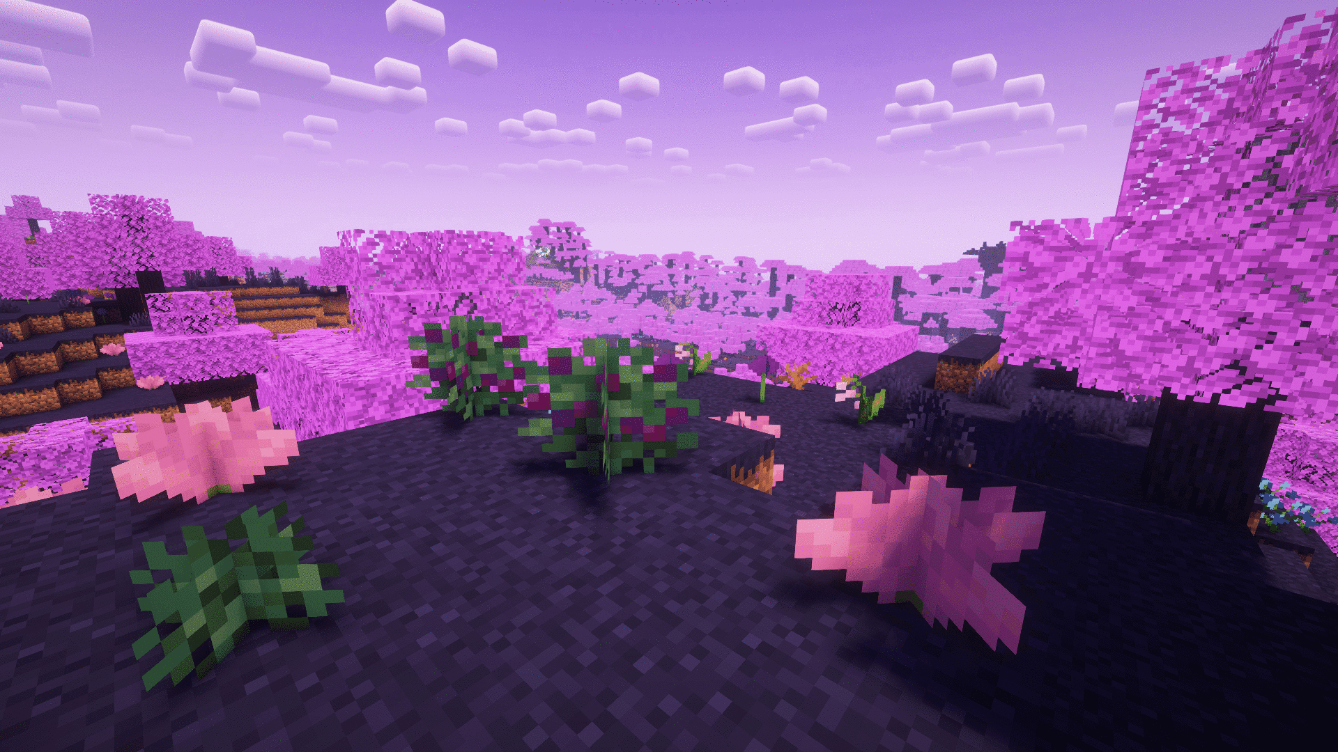 Dimensions & Dungeons screenshot