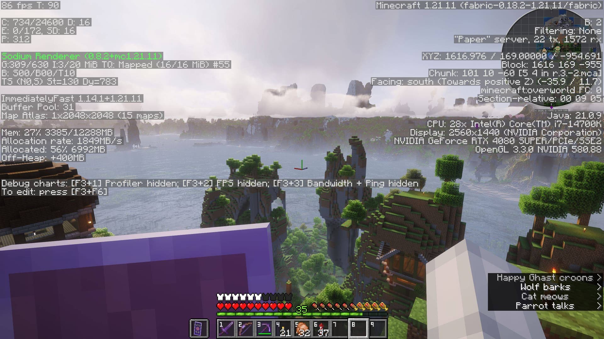 Banjo's Lightly Salted screenshot