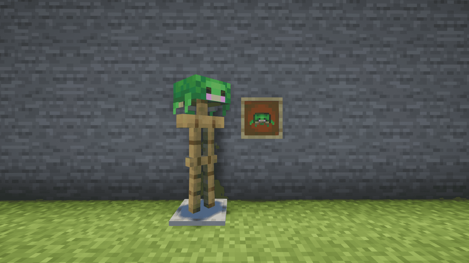 Cute Turtle Helmet screenshot