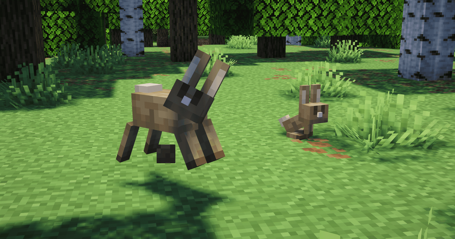 Rabbit Remodel By Blond screenshot
