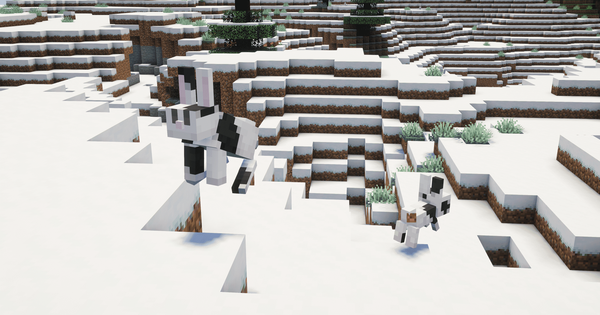 Rabbit Remodel By Blond screenshot