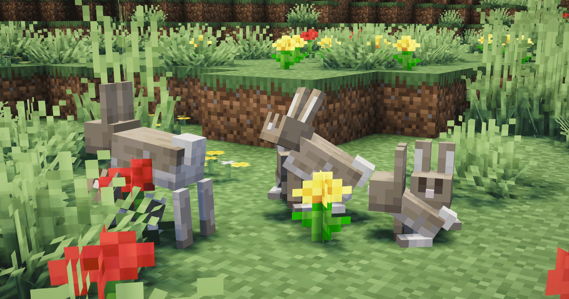 Rabbit Remodel By Blond screenshot