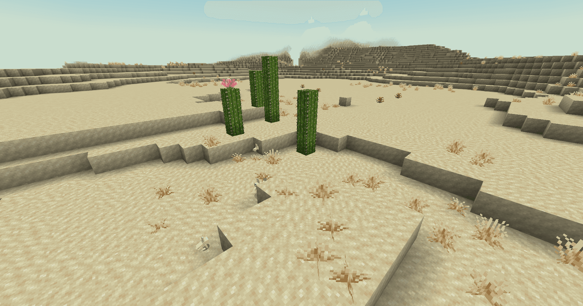 Good Lookin' Ground screenshot