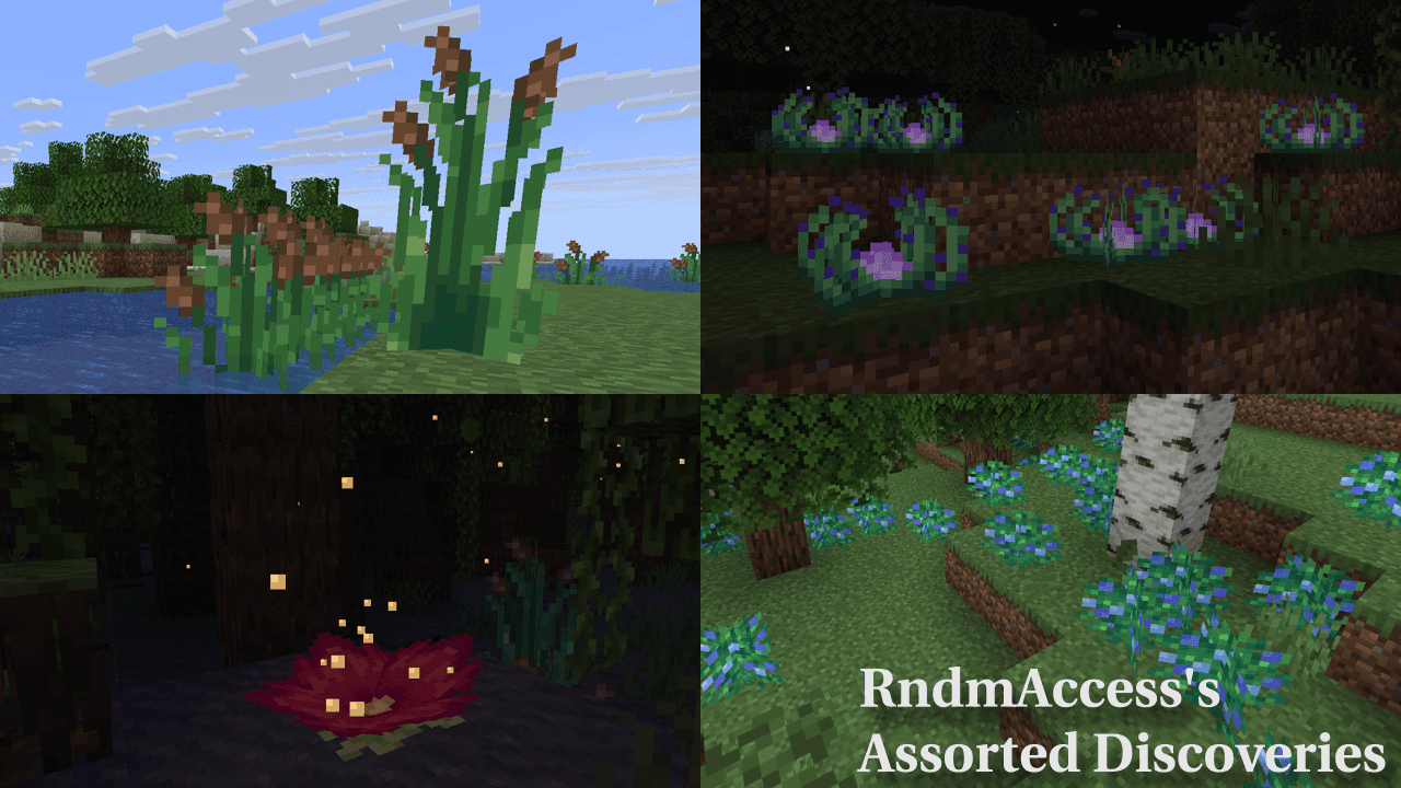 Assorted Discoveries screenshot