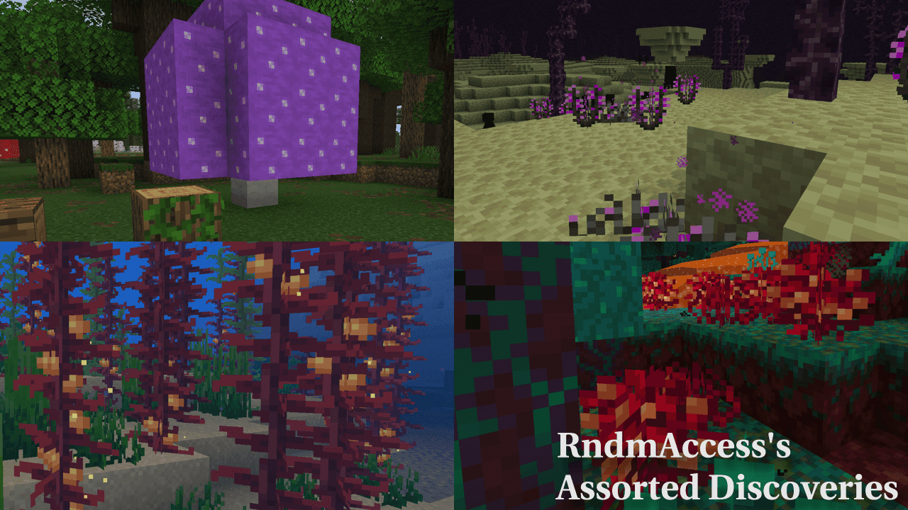 Assorted Discoveries screenshot