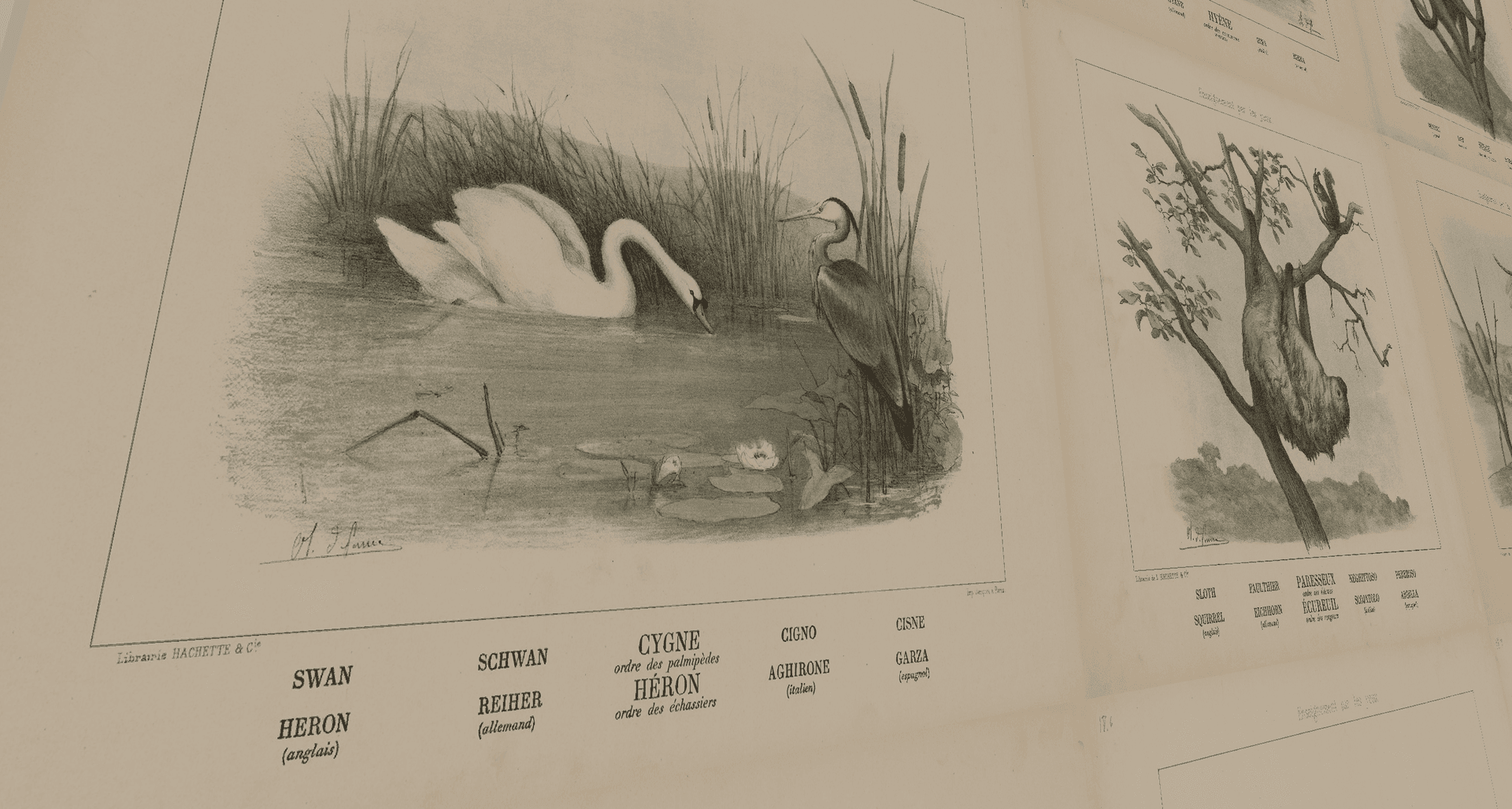 Vintage Animal Paintings Pack screenshot