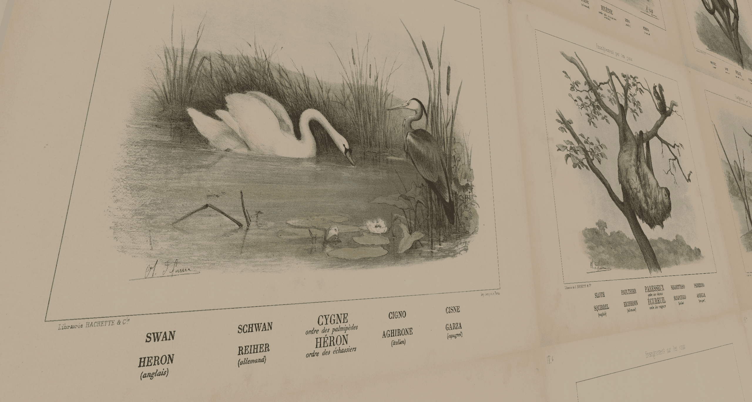 Vintage Animal Paintings Pack screenshot