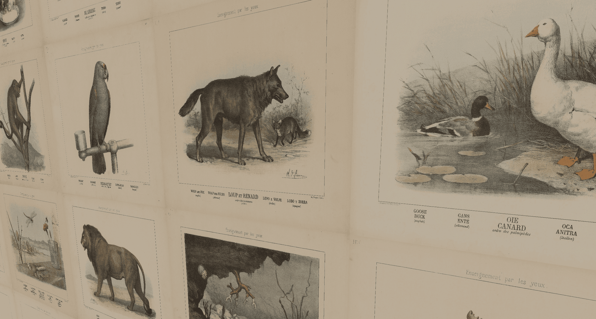 Vintage Animal Paintings Pack screenshot