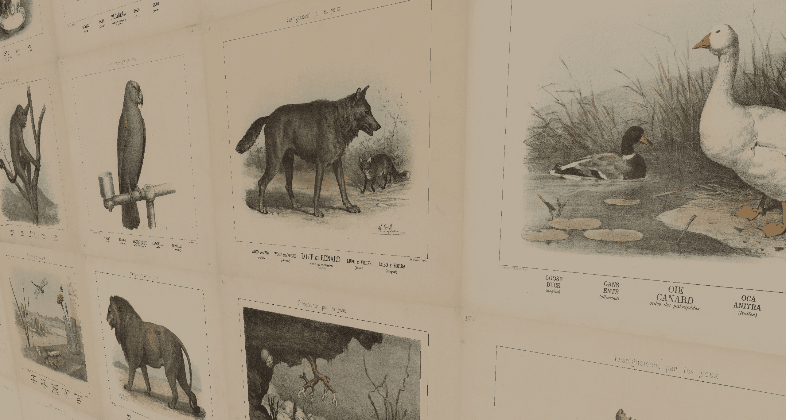 Vintage Animal Paintings Pack screenshot