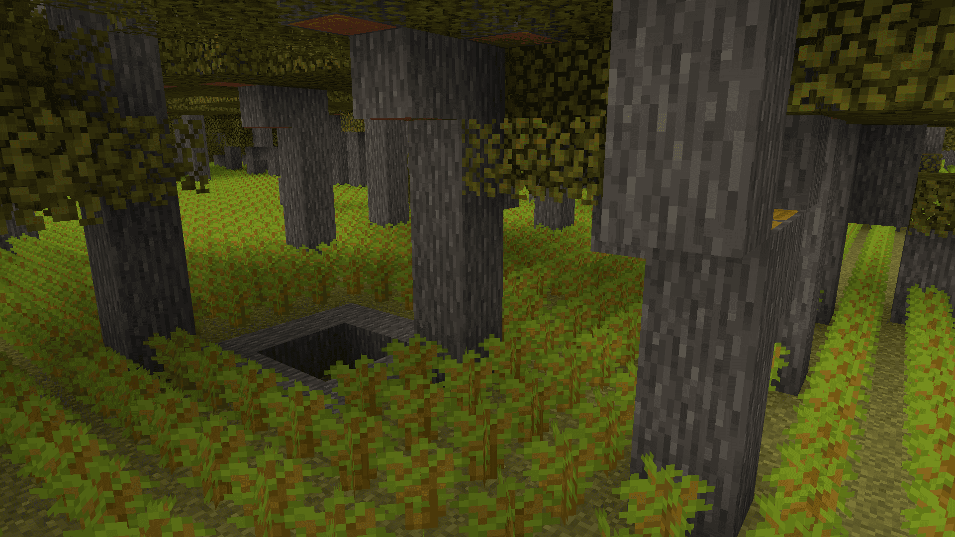 Forest NOTHING screenshot