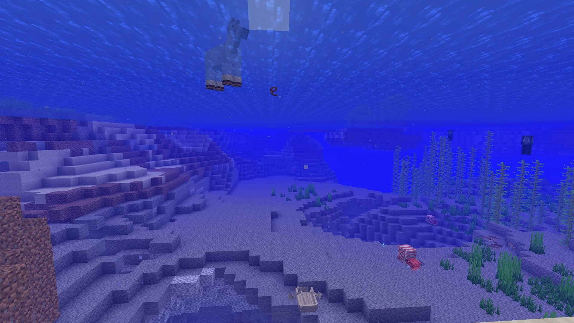 Safe Leash screenshot