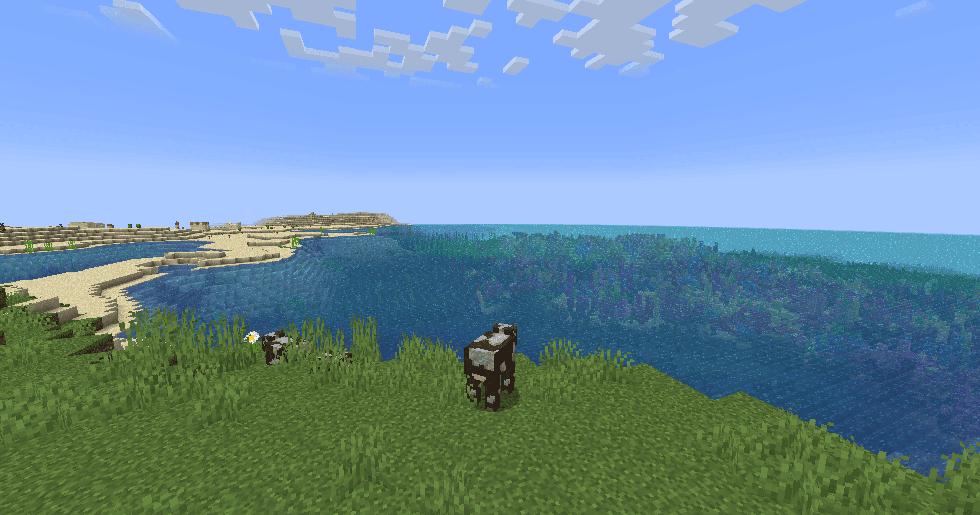 Moderner Beta screenshot