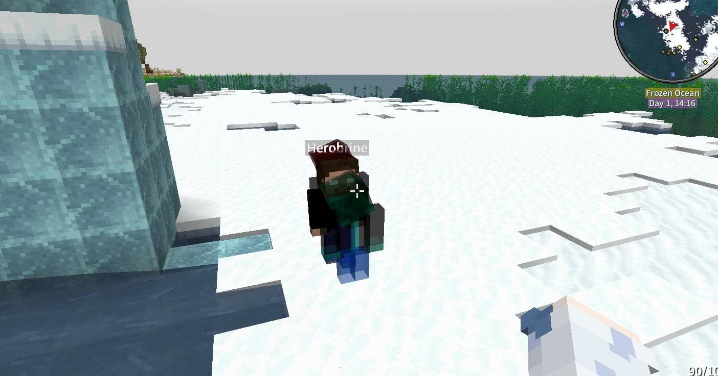 Herobrine Companion screenshot