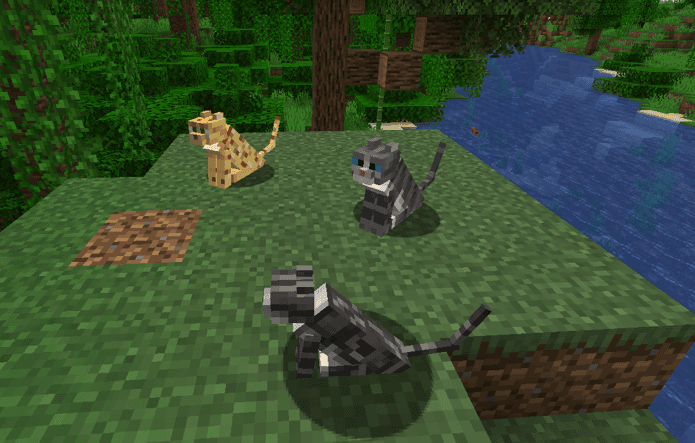 Gray Tabby Cat screenshot