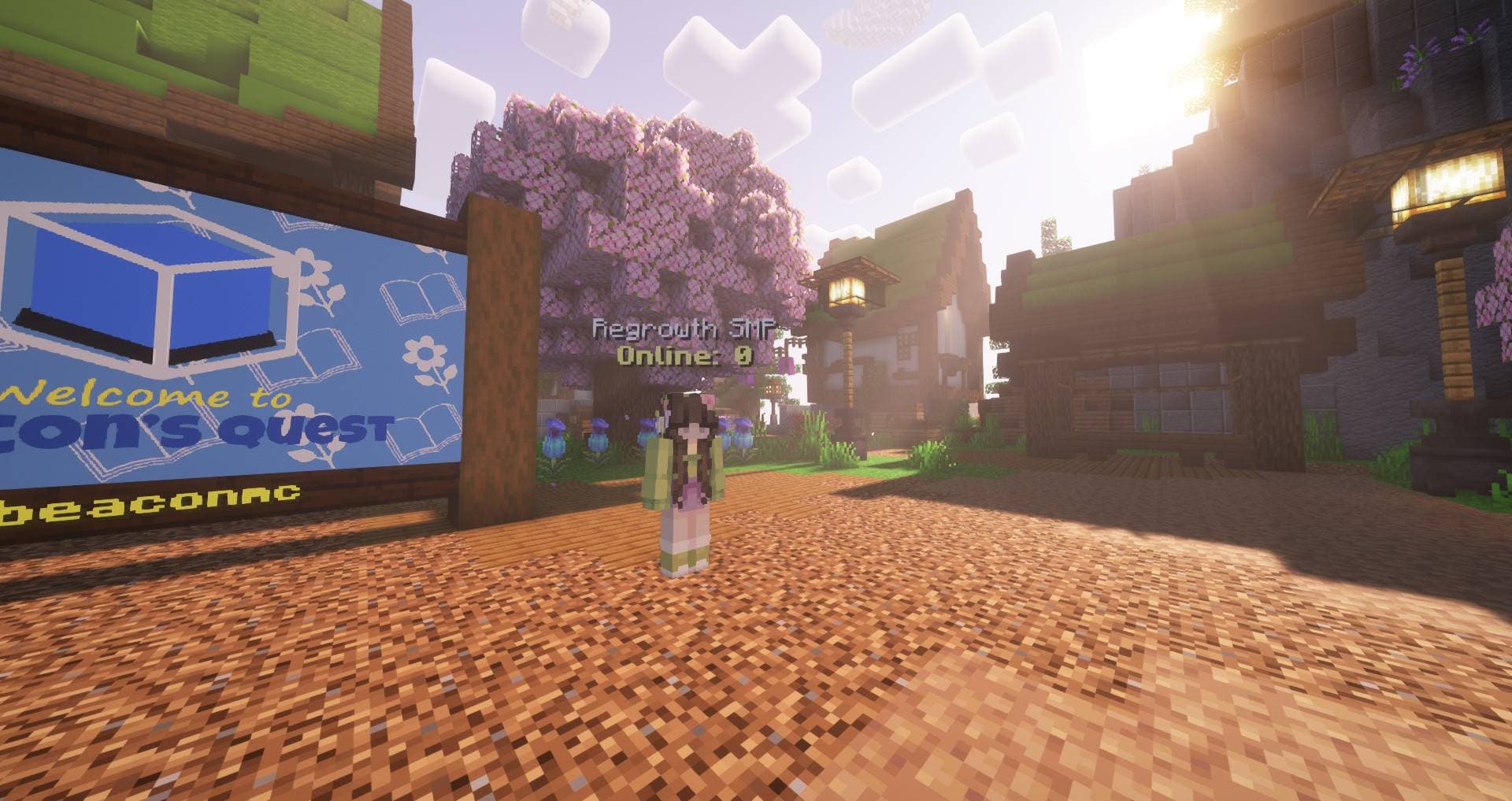FancyNpcs screenshot