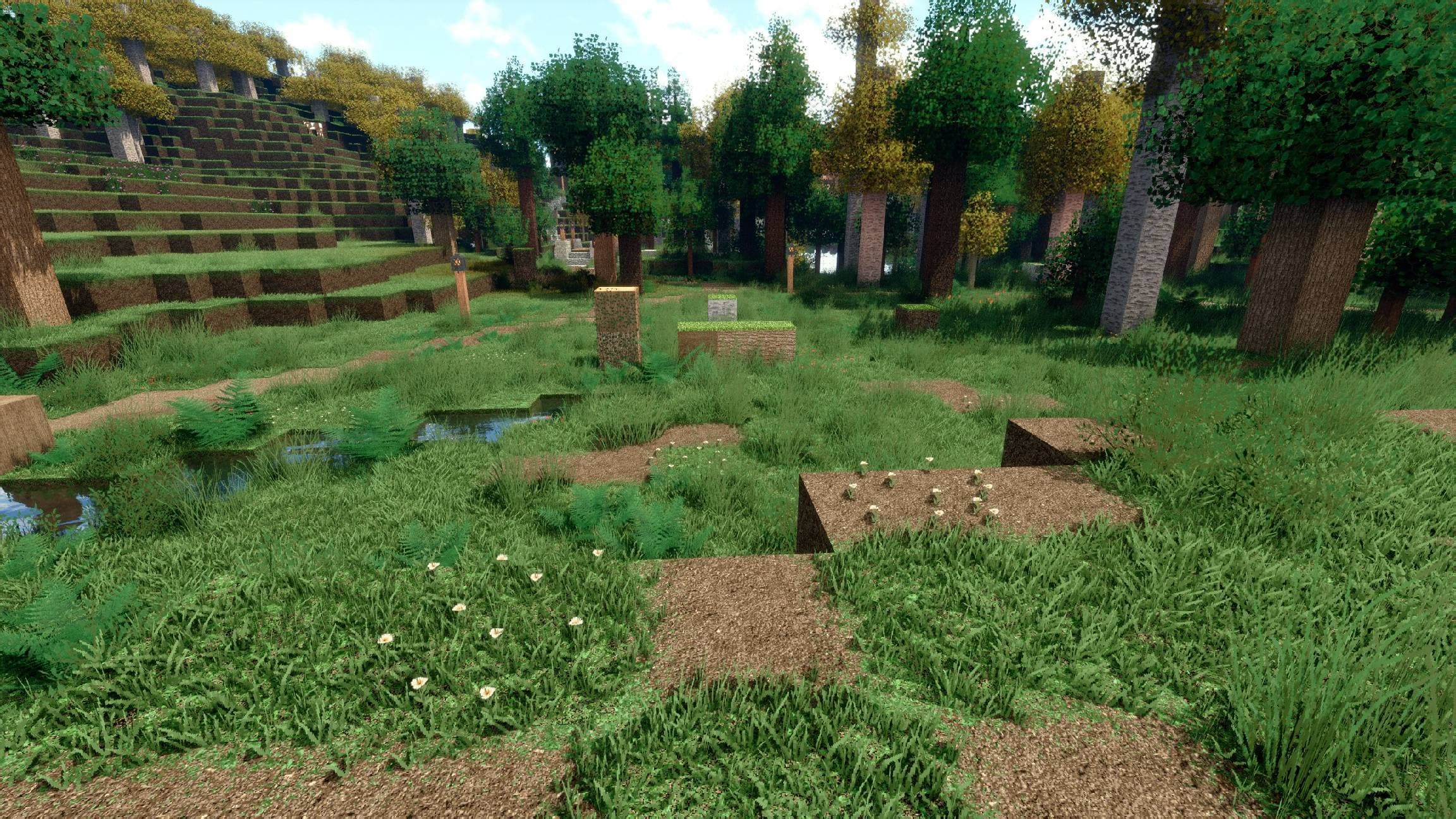GrowyForest screenshot