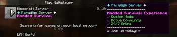 Paradigm Essentials screenshot