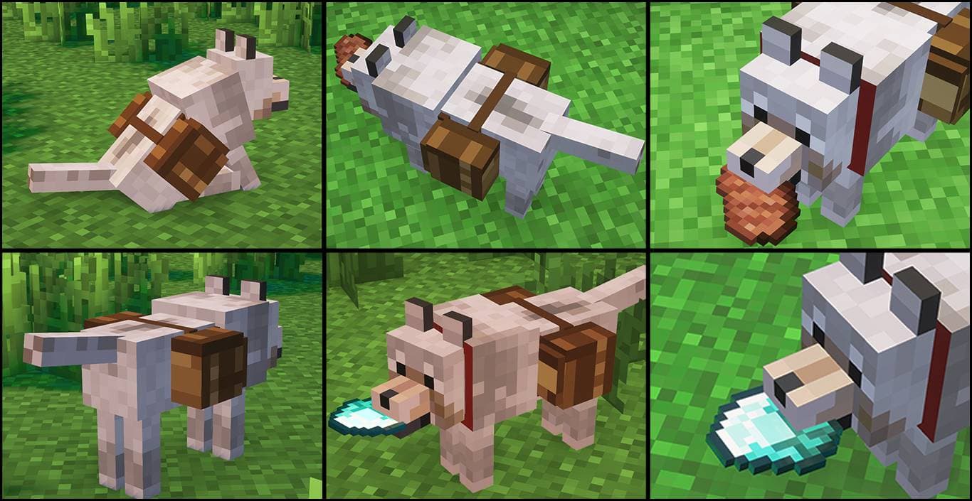 Saddlebag – Wolf Bag, Pet Backpack & Companion Utility screenshot