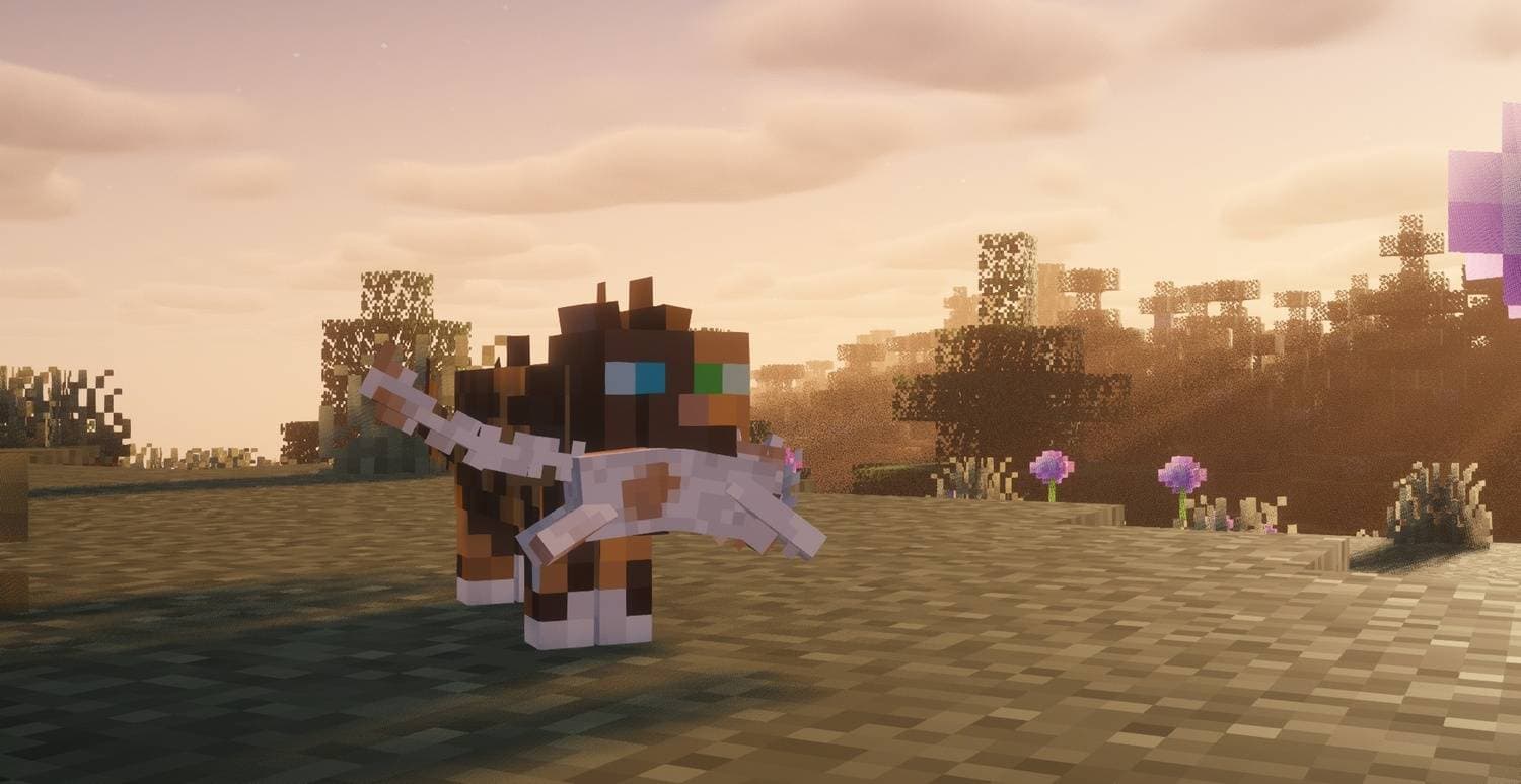 Warrior Cats Events screenshot