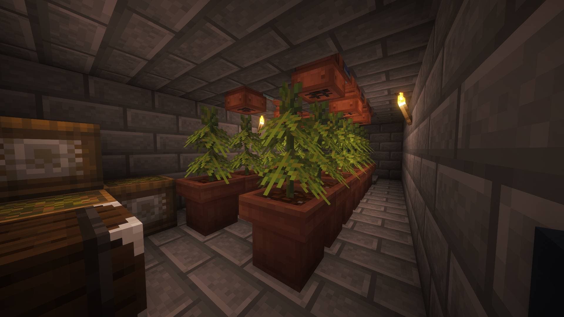 Beancrafters 5 screenshot