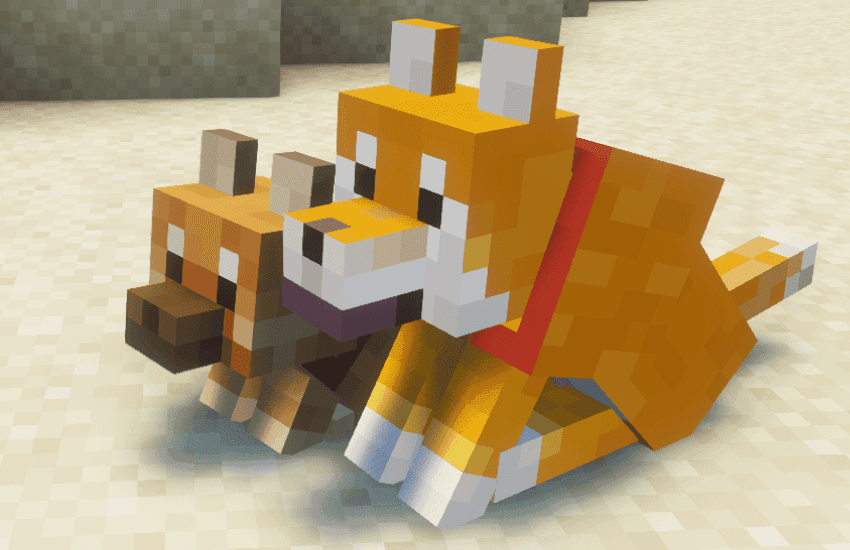 Shiba-dog screenshot