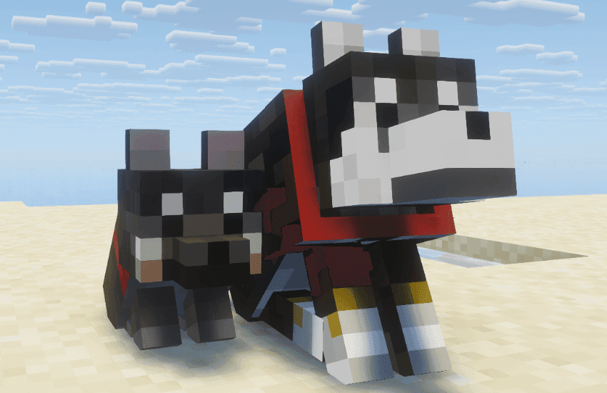 Shiba-dog screenshot
