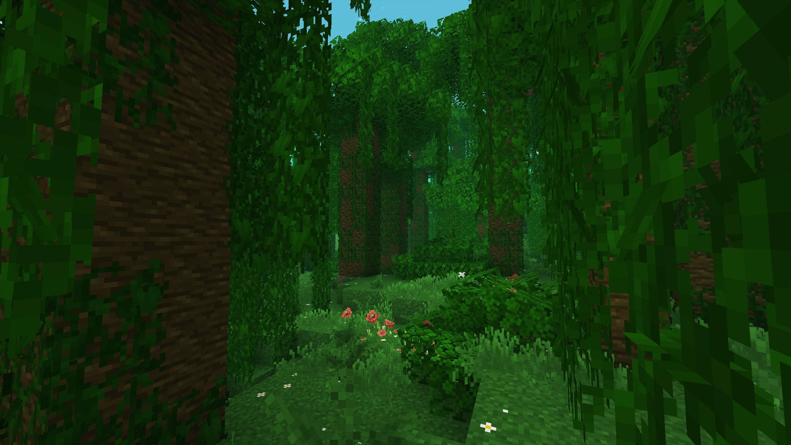 BM - Mirabilis screenshot