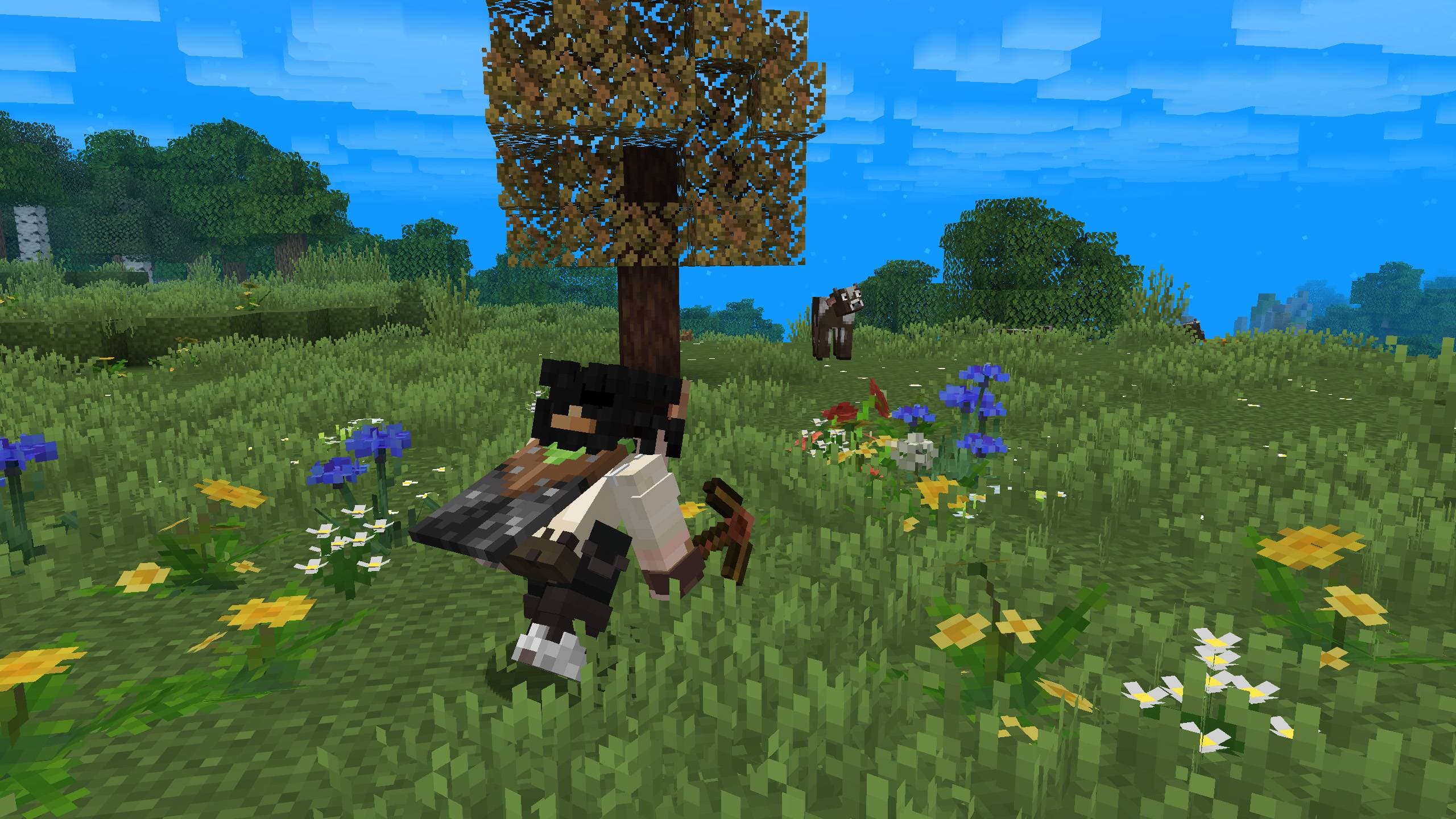 BM - Mirabilis screenshot