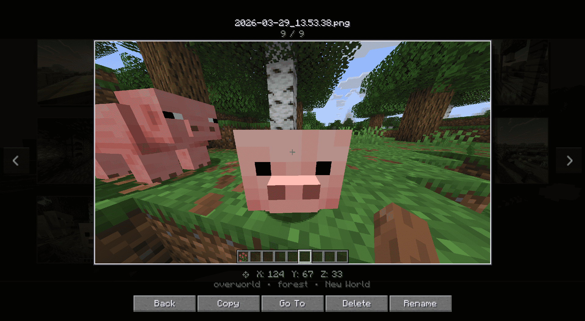 ScreenshotGallery Mod screenshot
