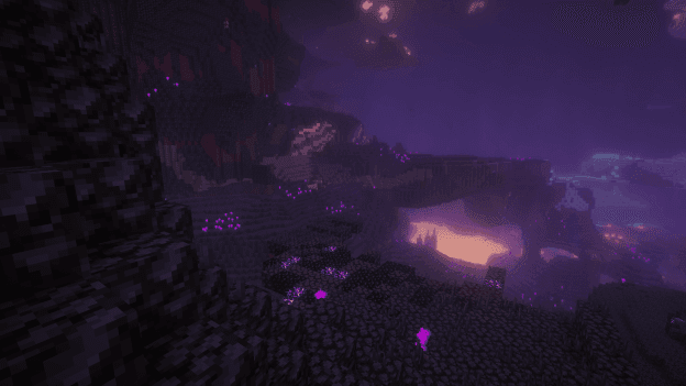 THE FORGOTTEN SMP screenshot