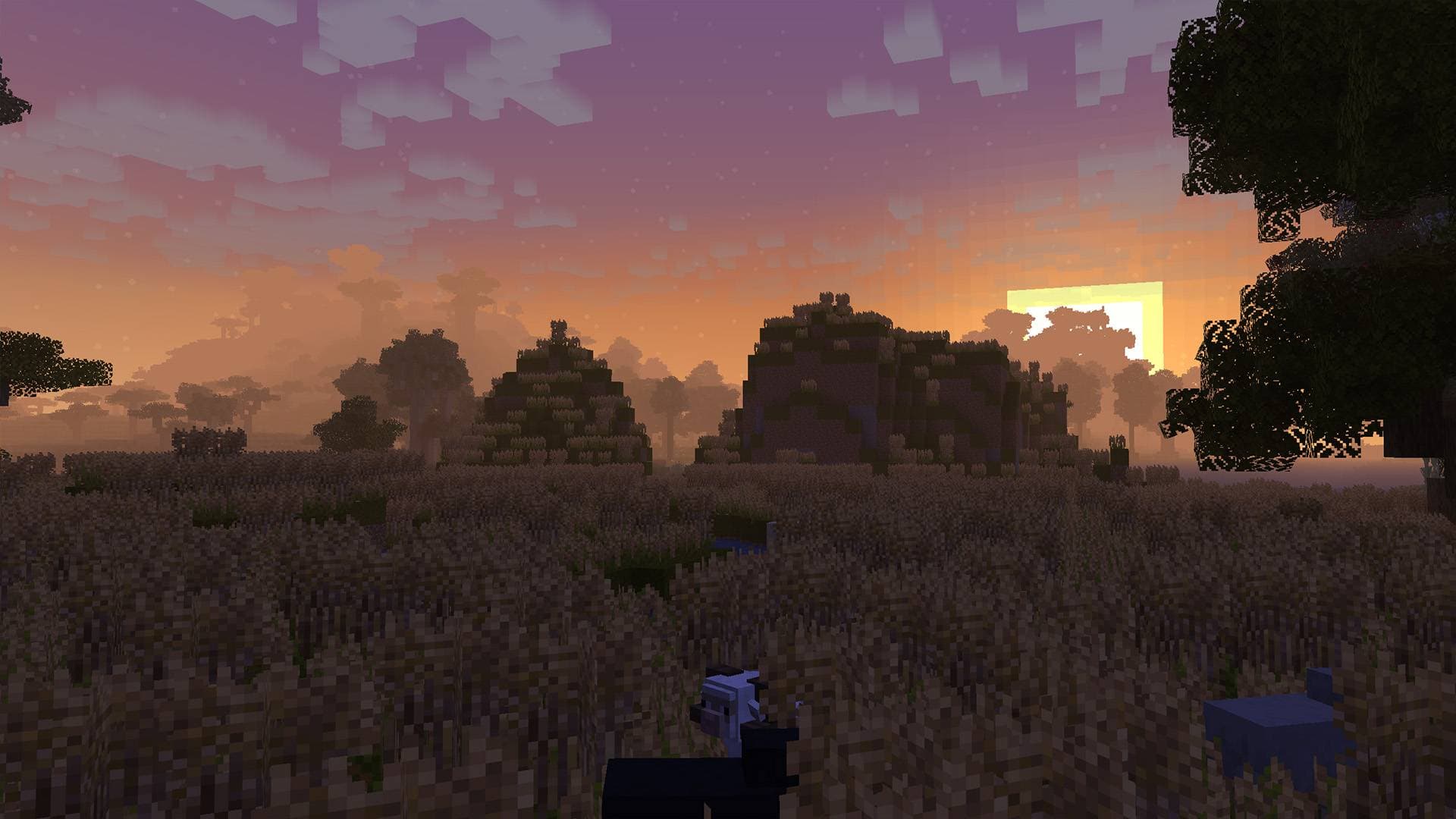 BM - Mirabilis screenshot