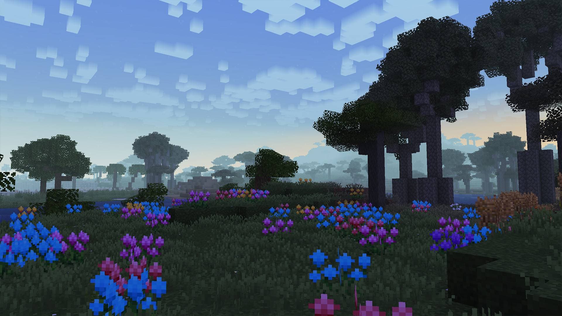 BM - Mirabilis screenshot