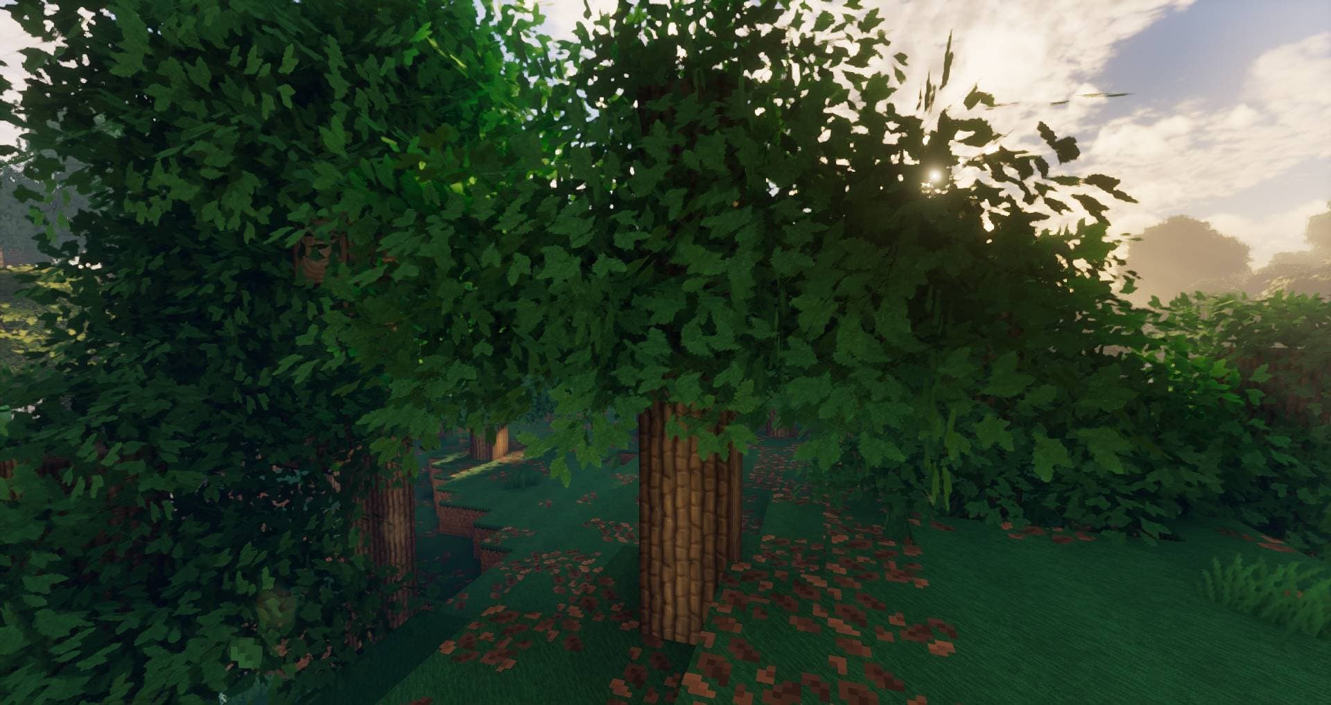 Soartex Fantastik screenshot