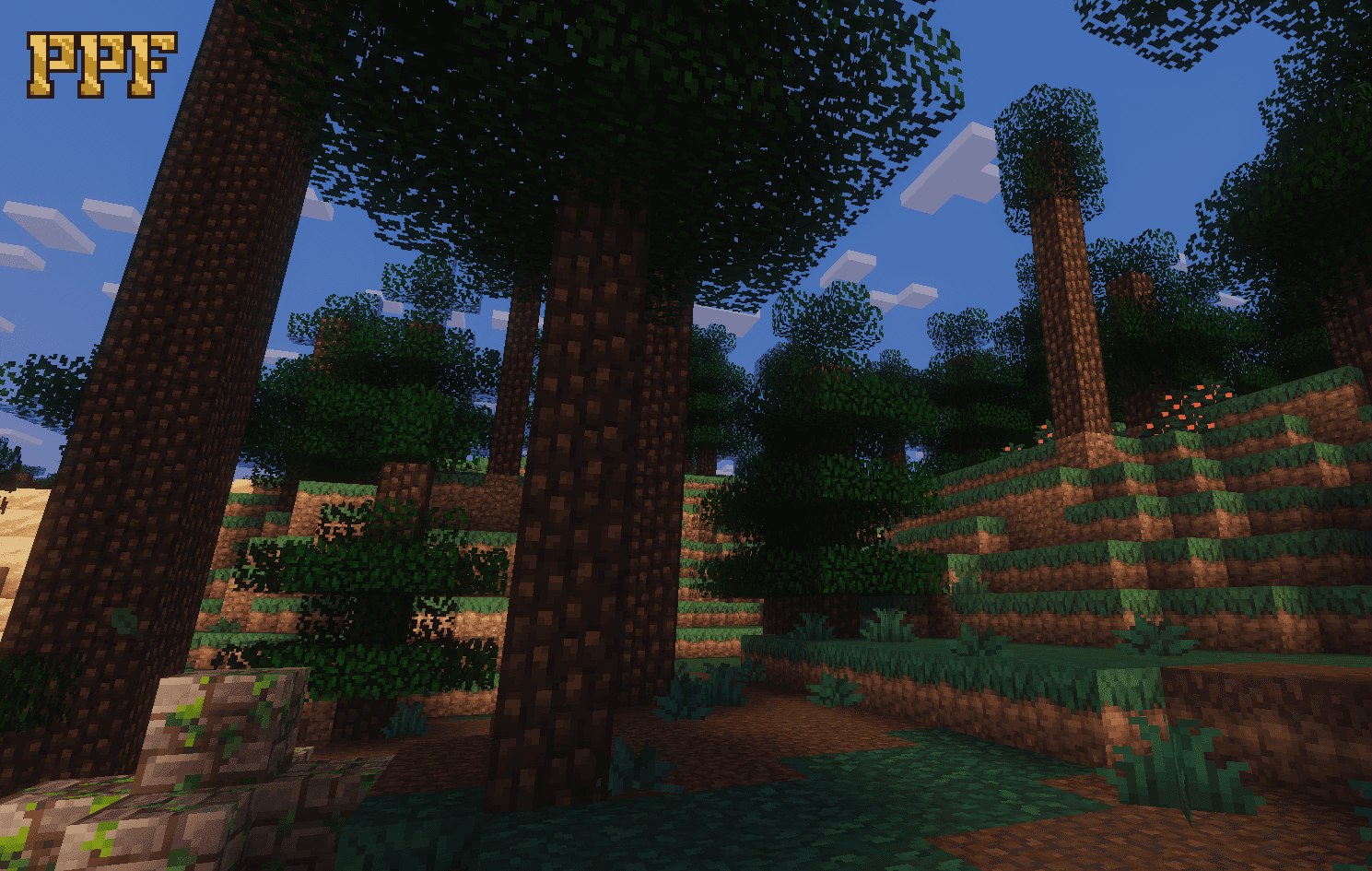 Pixel Perfection Fidelity screenshot