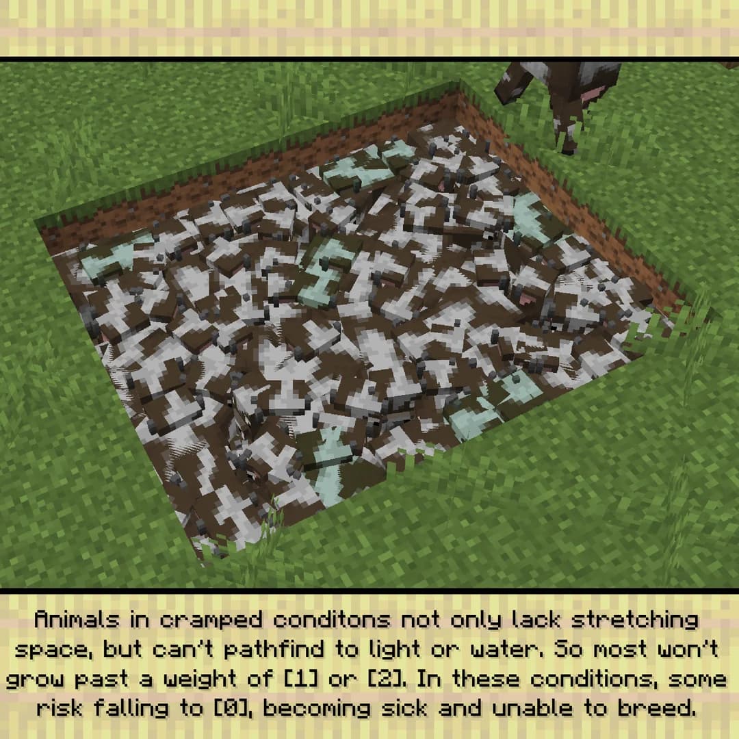 Animal  Weights screenshot