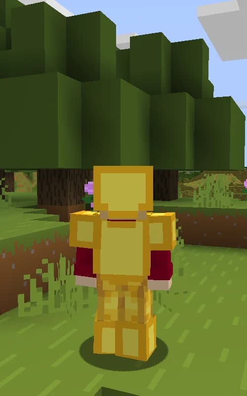 Bare Bones x Fresh Animations: Player Extension screenshot
