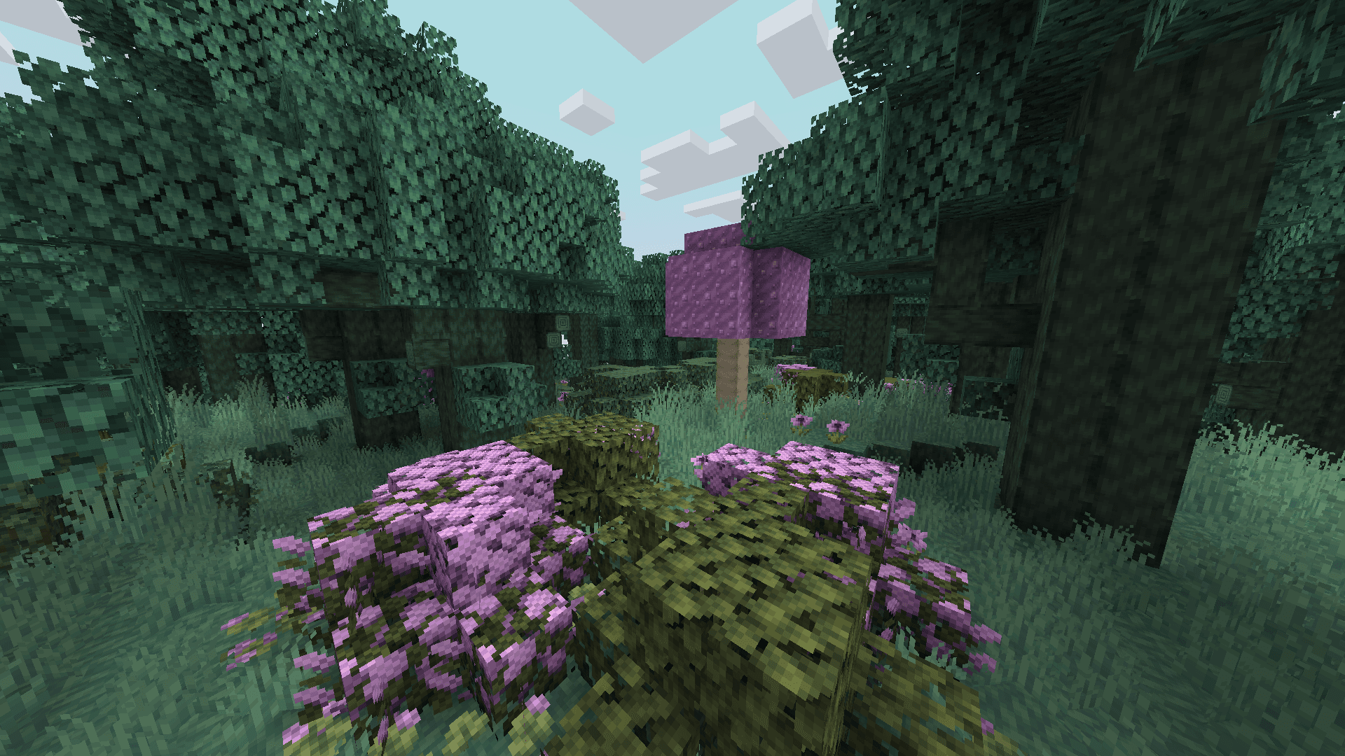 Dreamlands screenshot