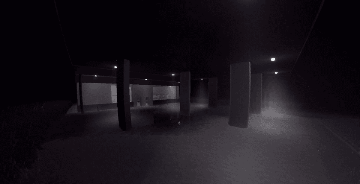 HORROR - Into The Backrooms - Found Footage (dweller) screenshot