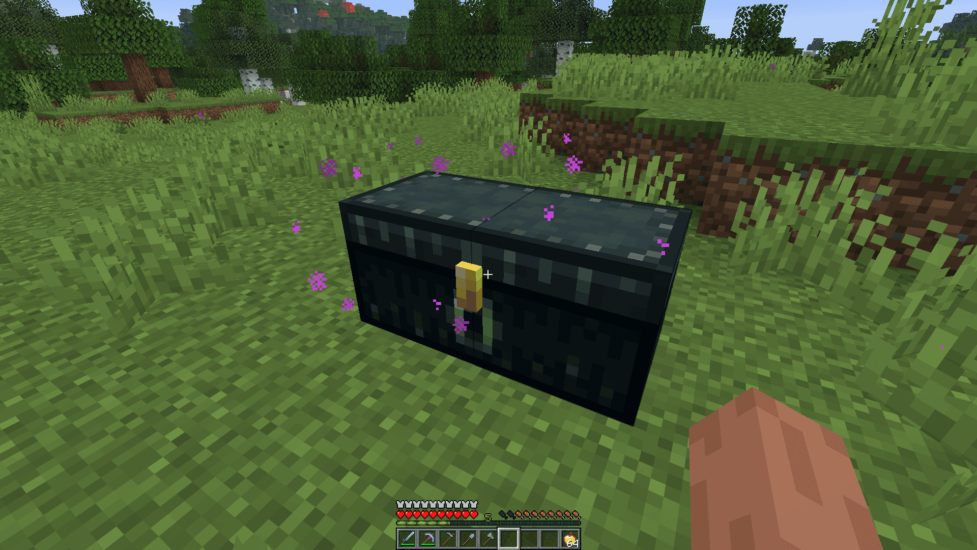 Real Double Ender Chest screenshot