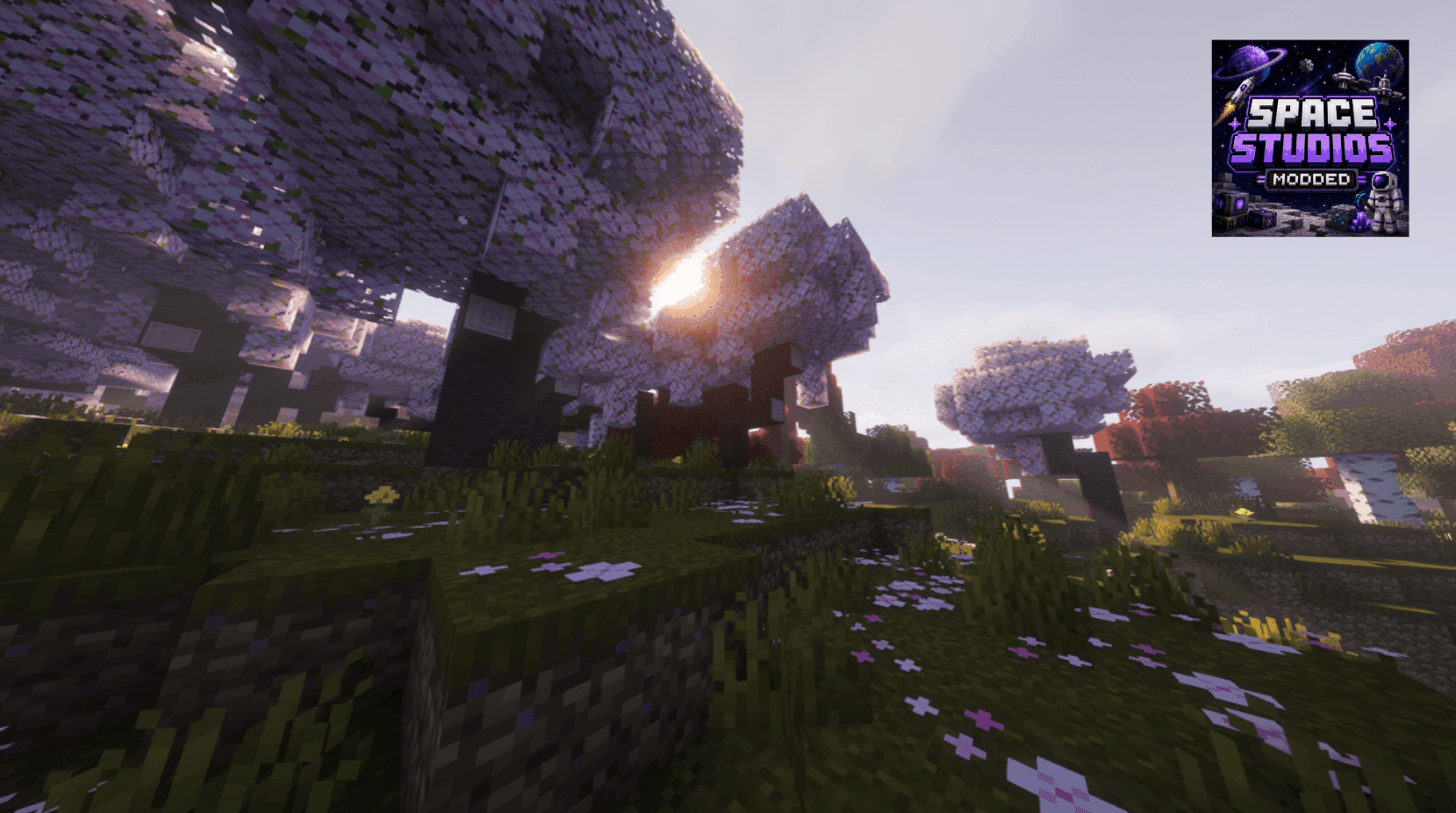 Space Studios Survival Pack screenshot