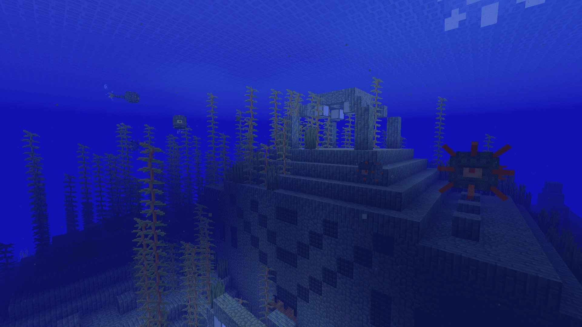 DAILY BLOCKS screenshot