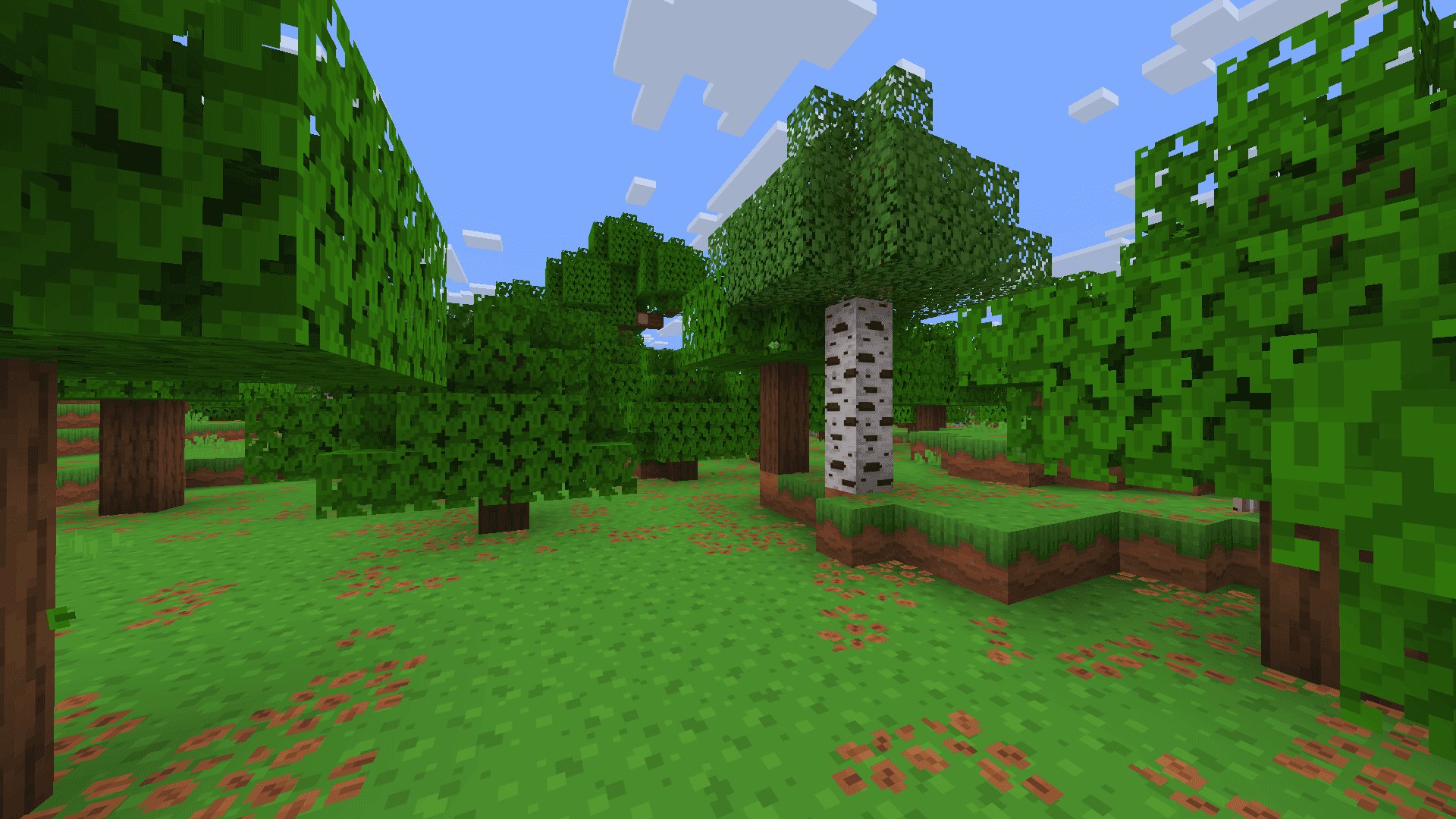 DAILY BLOCKS screenshot
